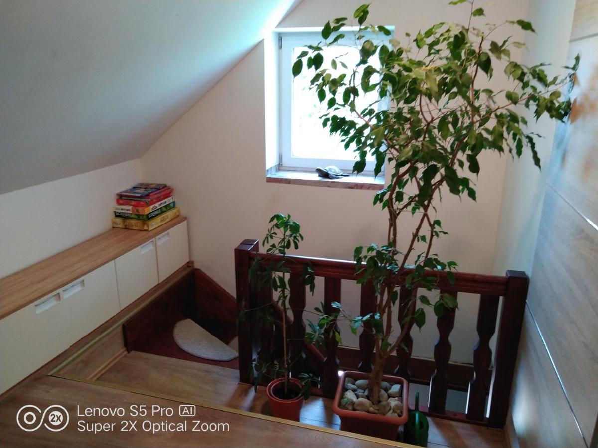 Wellness Apartman Beavital Dolany  ภายนอก รูปภาพ